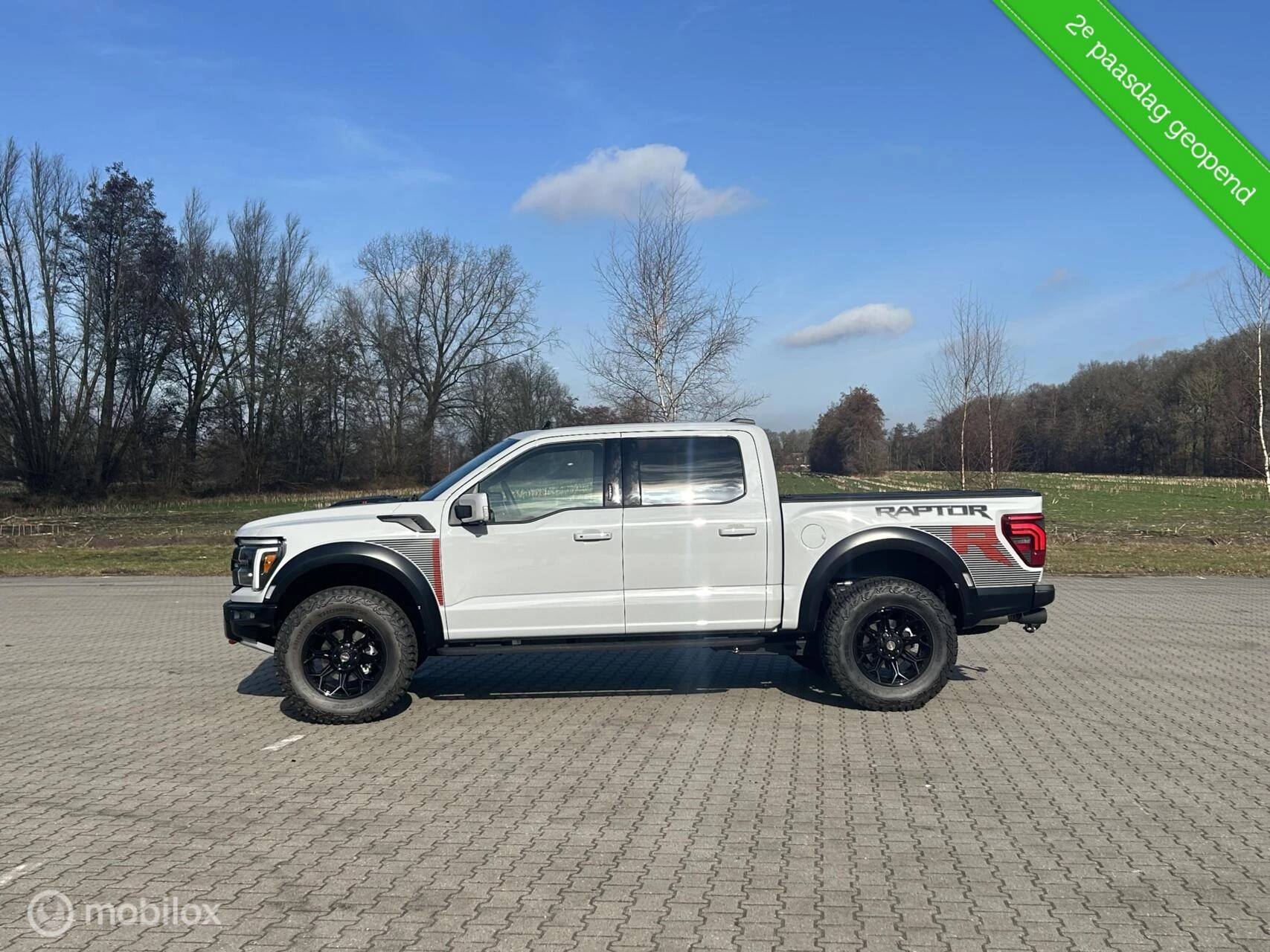 Hoofdafbeelding Ford F-150