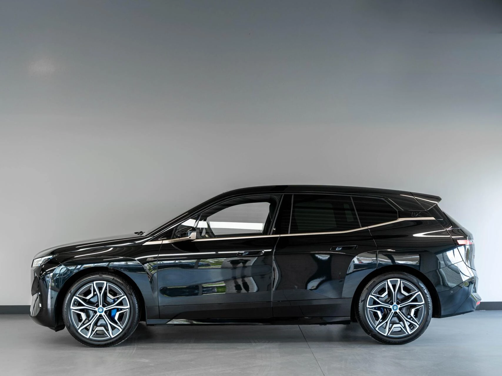 Hoofdafbeelding BMW iX