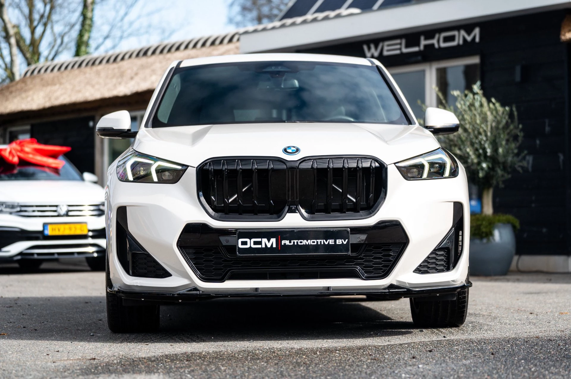 Hoofdafbeelding BMW iX1