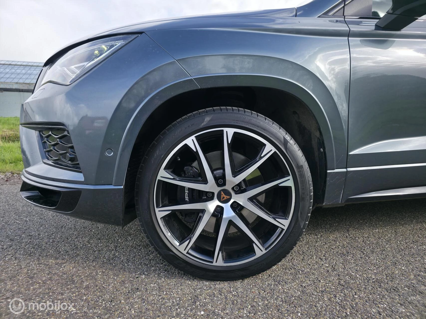 Hoofdafbeelding CUPRA Ateca