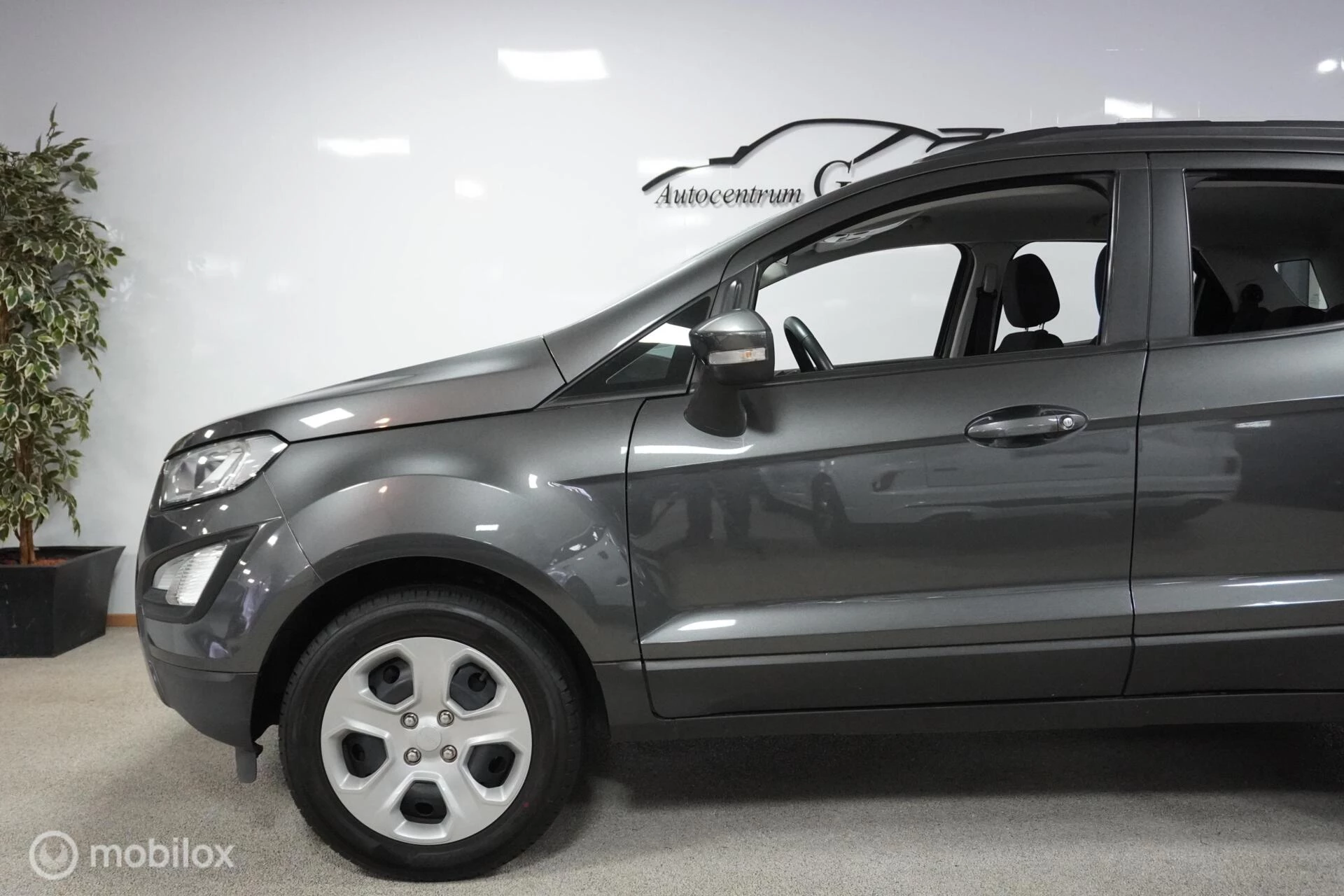 Hoofdafbeelding Ford EcoSport