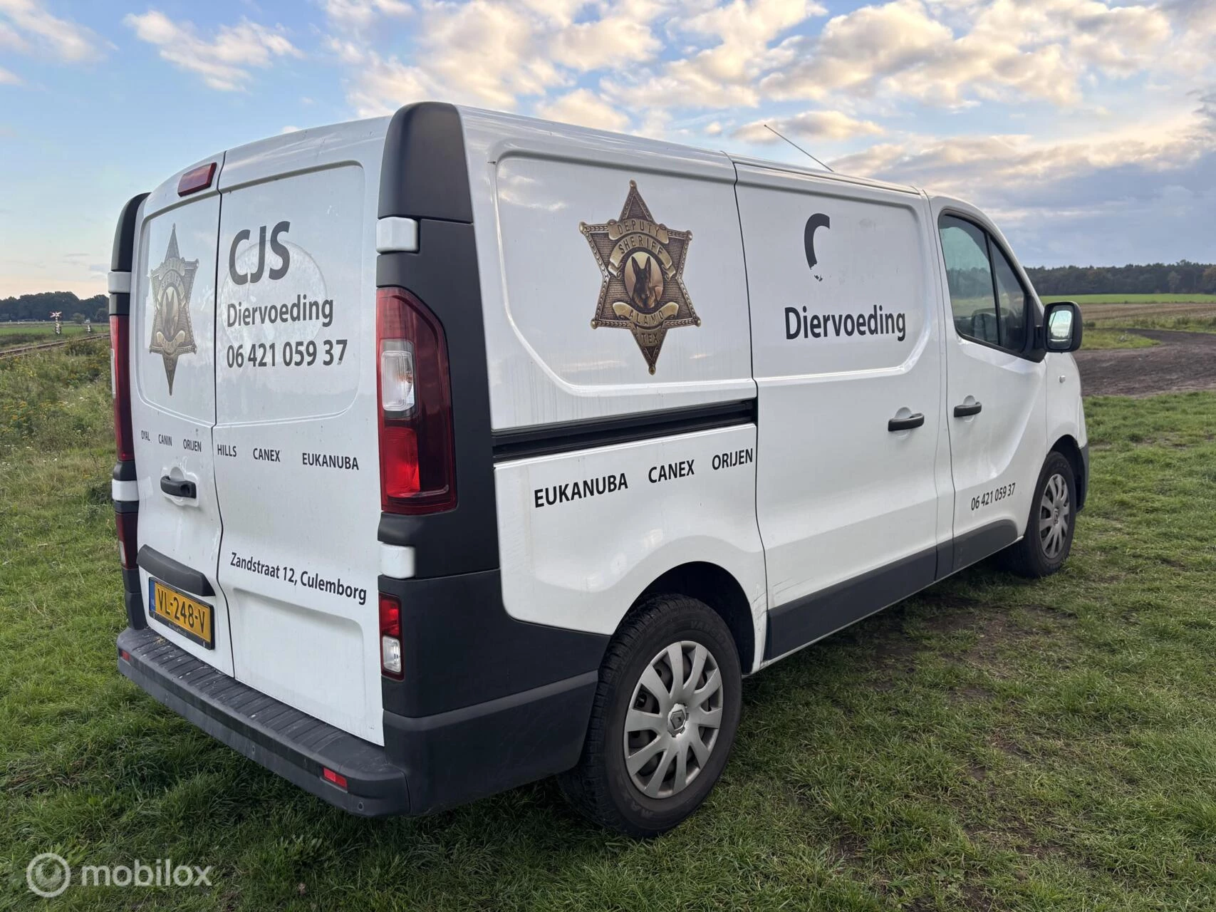 Hoofdafbeelding Renault Trafic