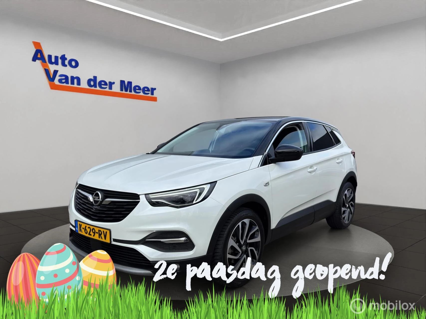 Hoofdafbeelding Opel Grandland X