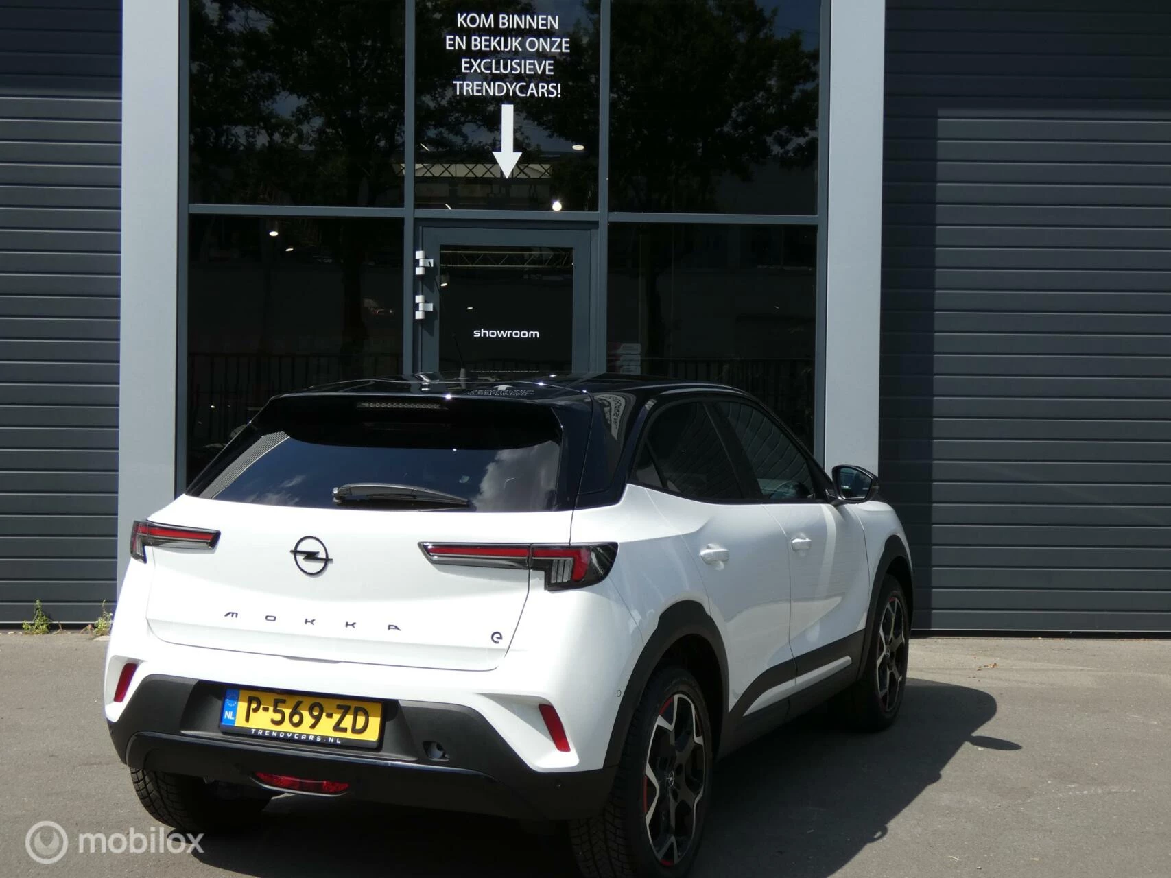 Hoofdafbeelding Opel Mokka-e