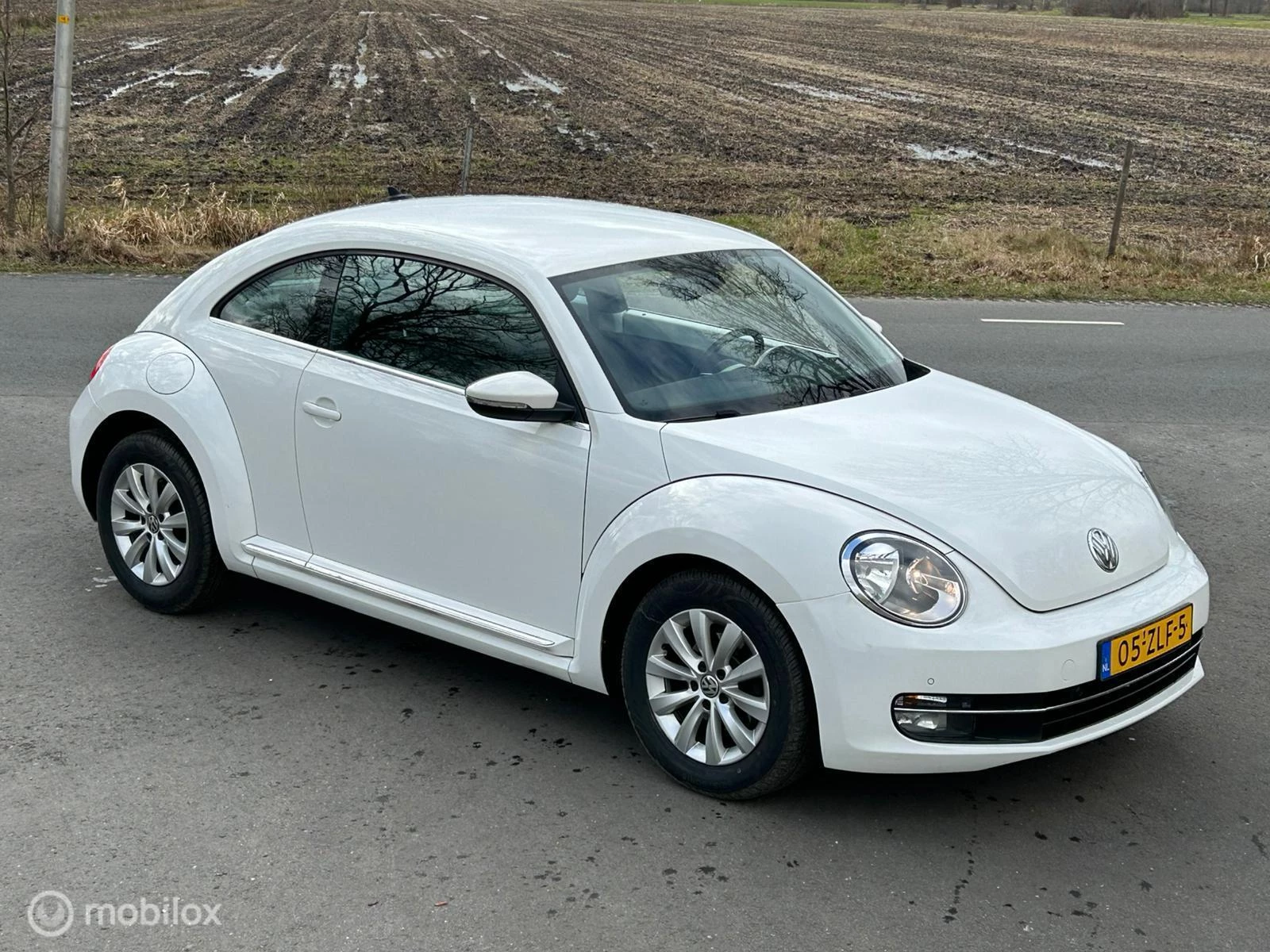 Hoofdafbeelding Volkswagen Beetle