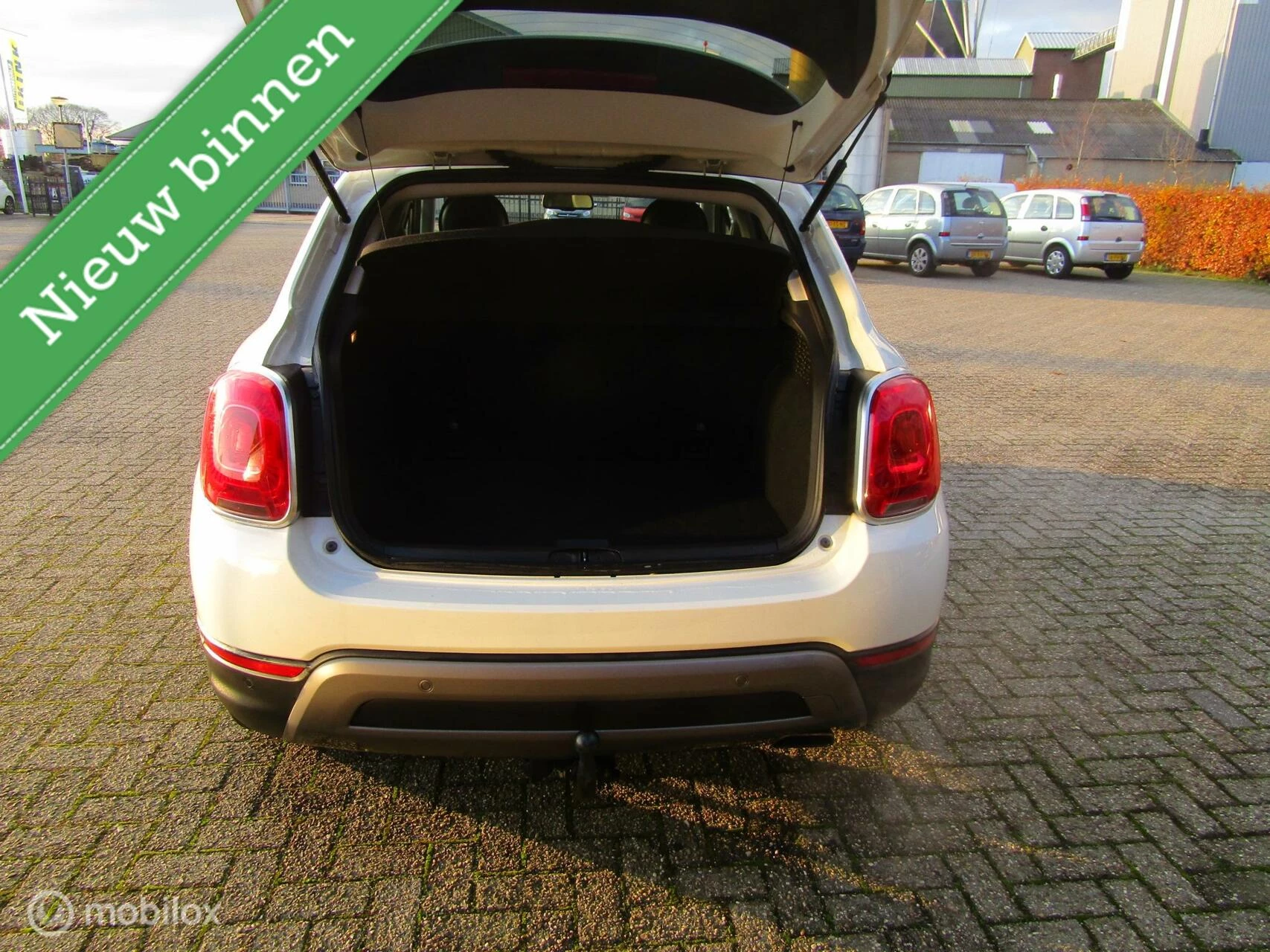 Hoofdafbeelding Fiat 500X