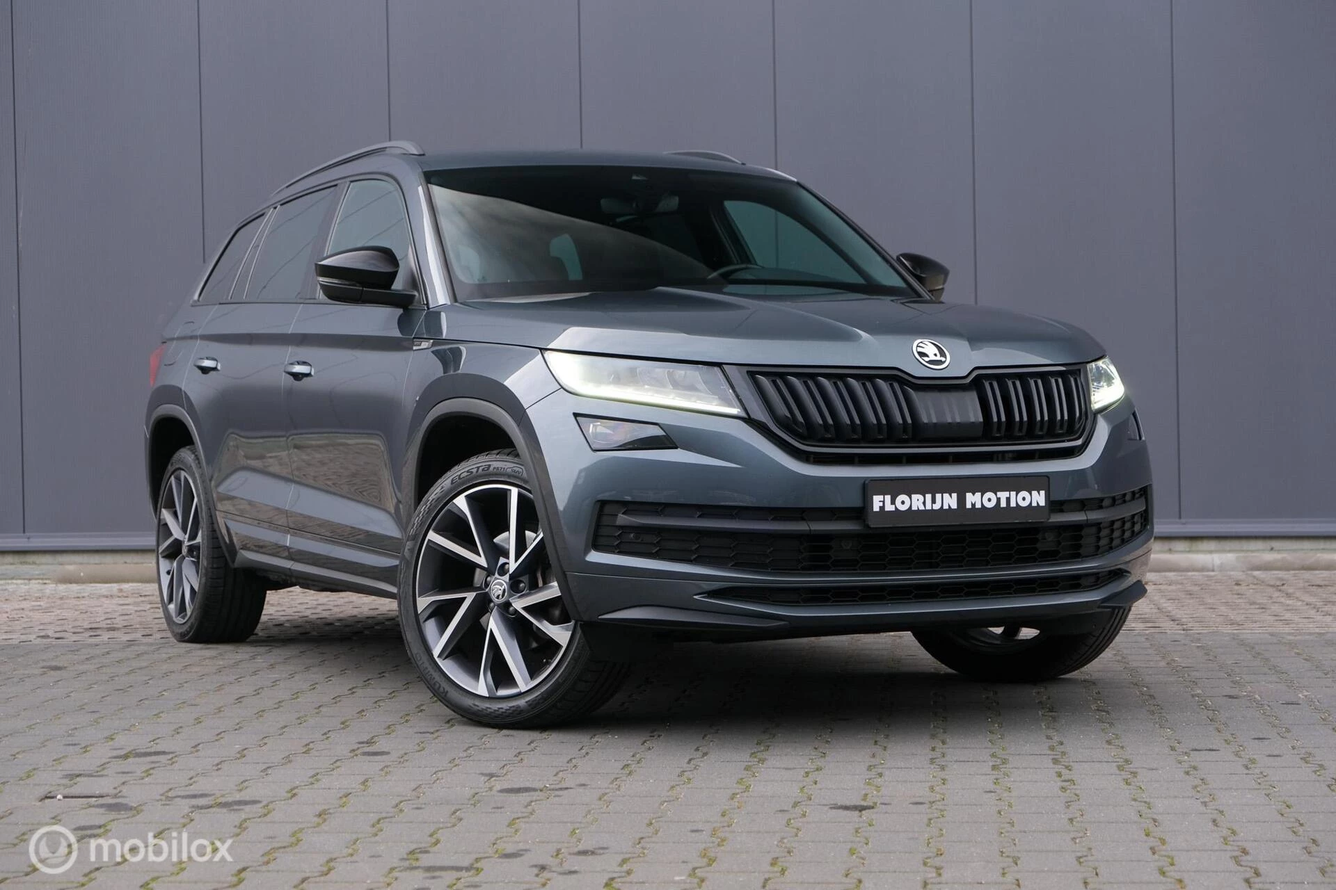 Hoofdafbeelding Škoda Kodiaq