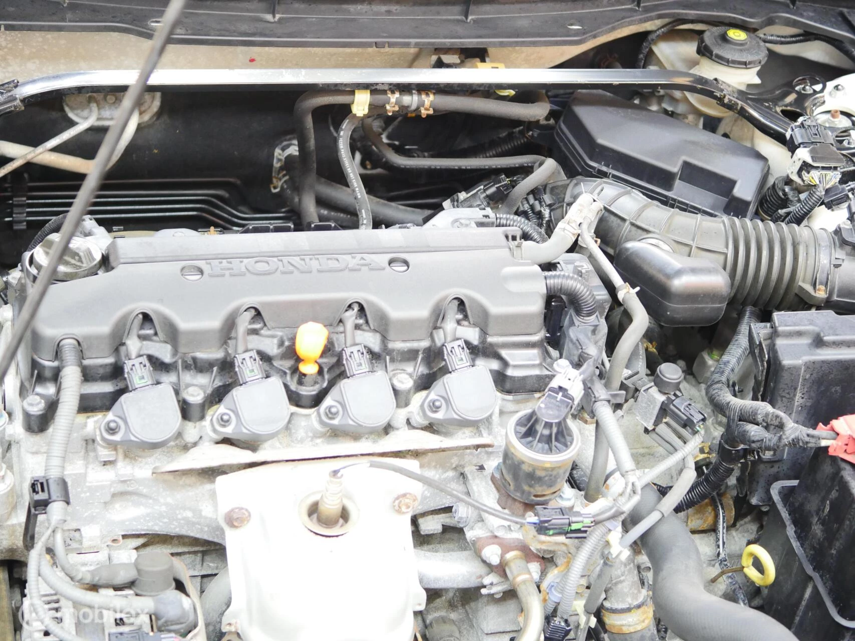 Hoofdafbeelding Honda Accord