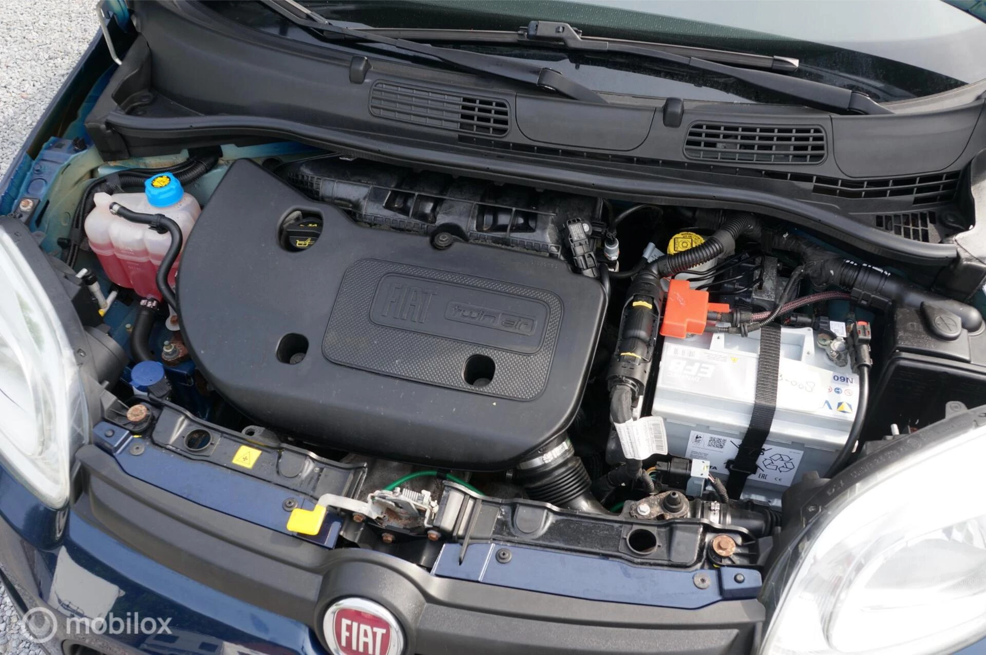 Hoofdafbeelding Fiat Panda