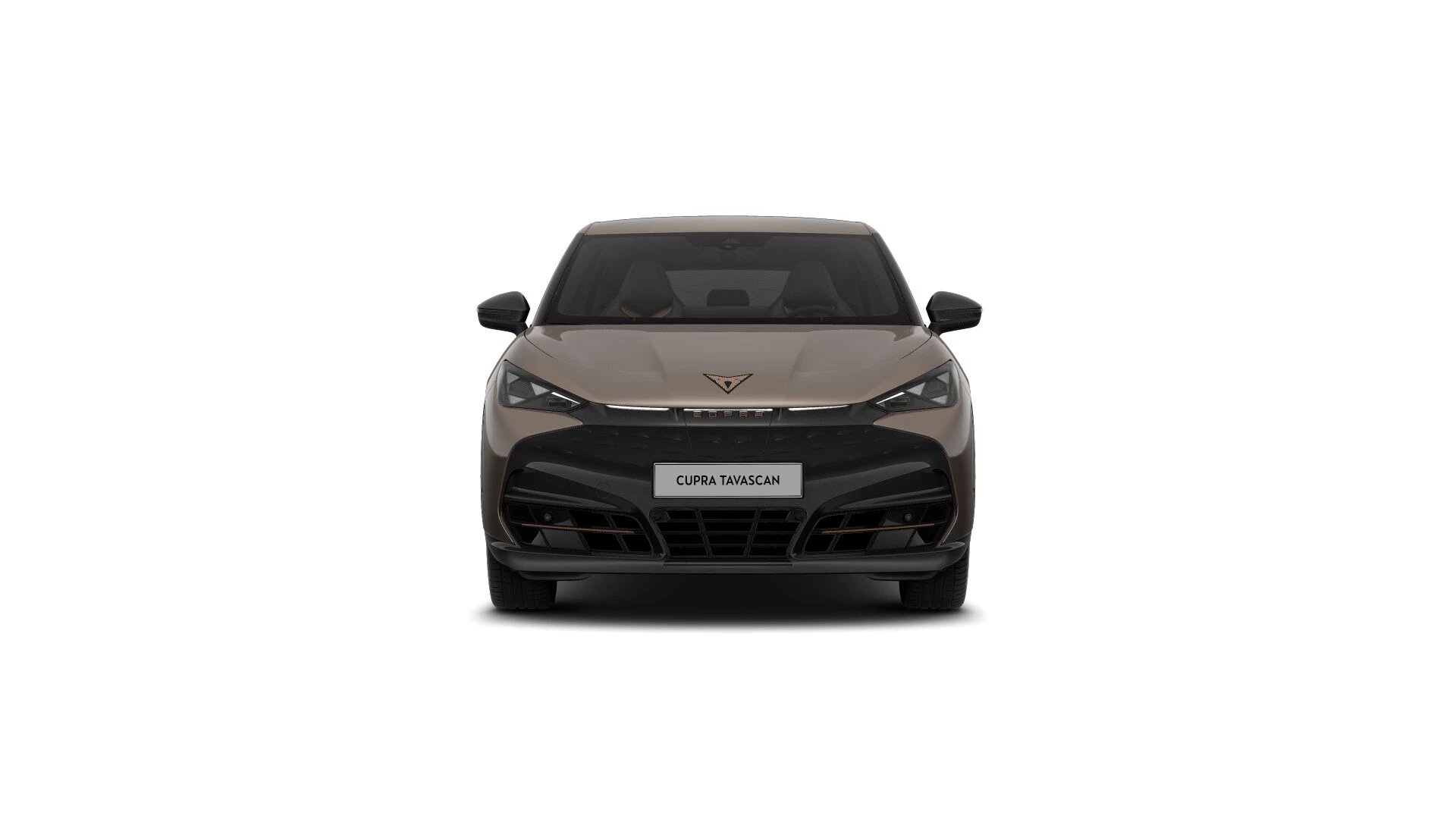 Hoofdafbeelding CUPRA Tavascan