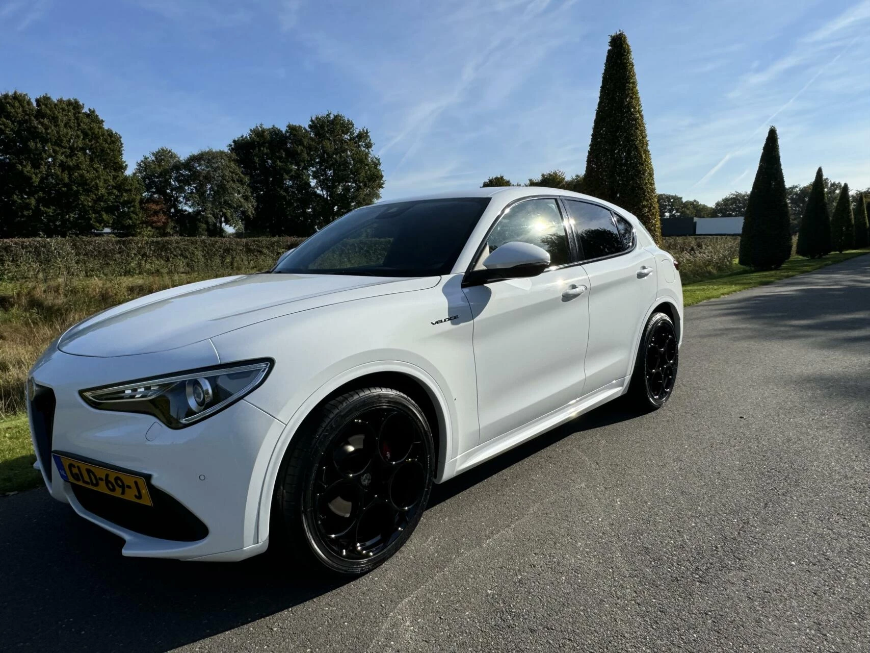 Hoofdafbeelding Alfa Romeo Stelvio