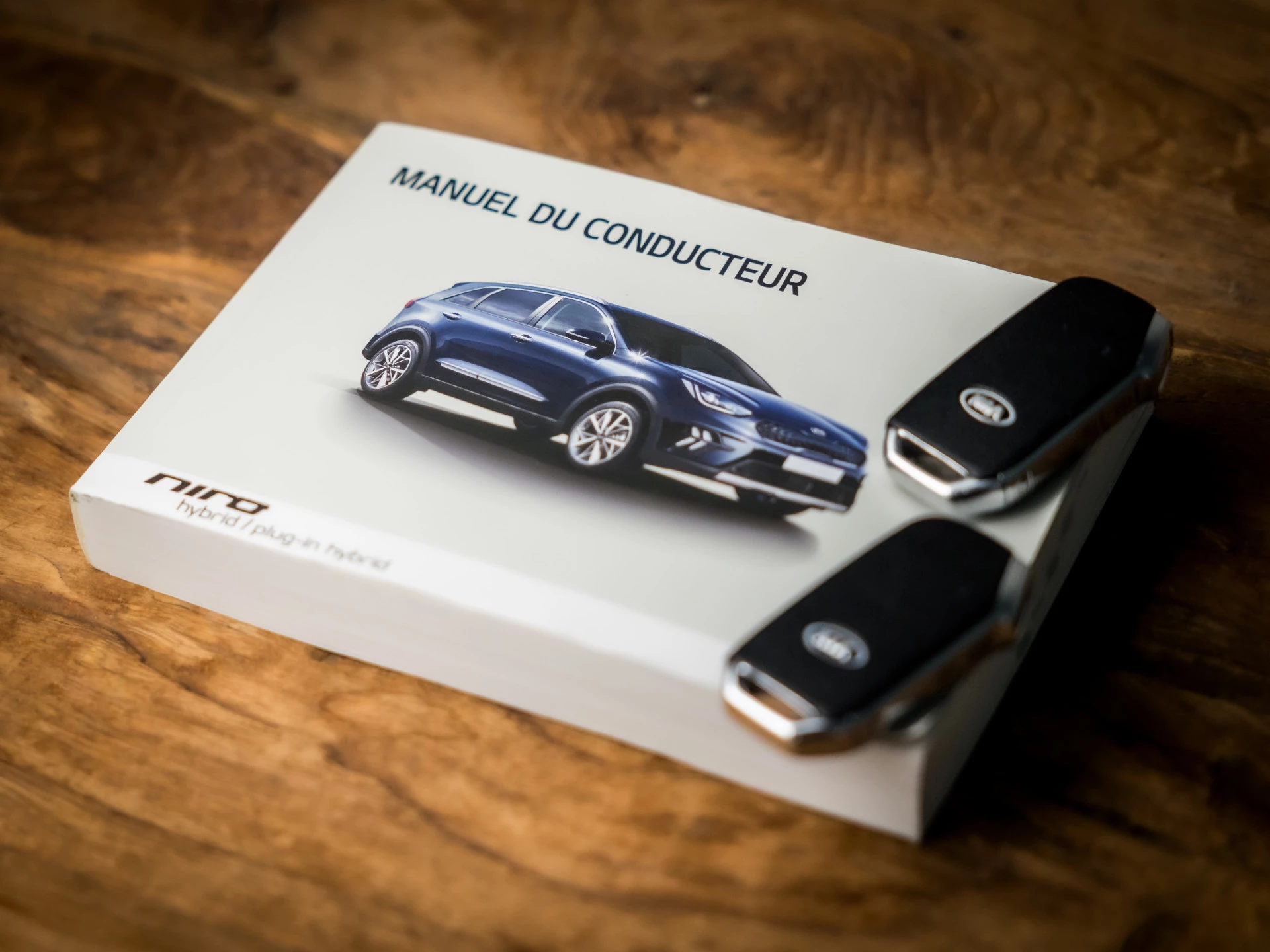 Hoofdafbeelding Kia Niro