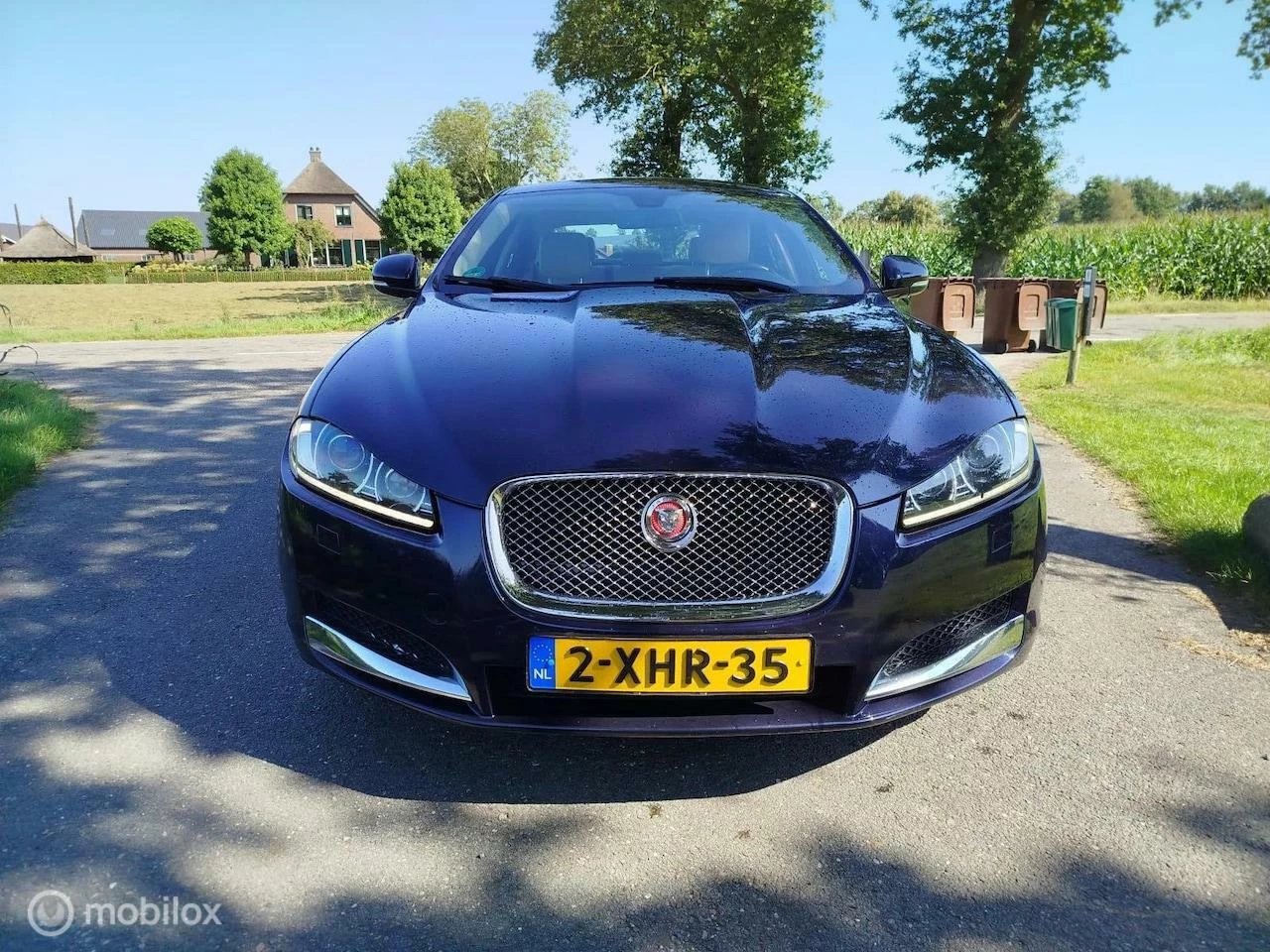 Hoofdafbeelding Jaguar XF