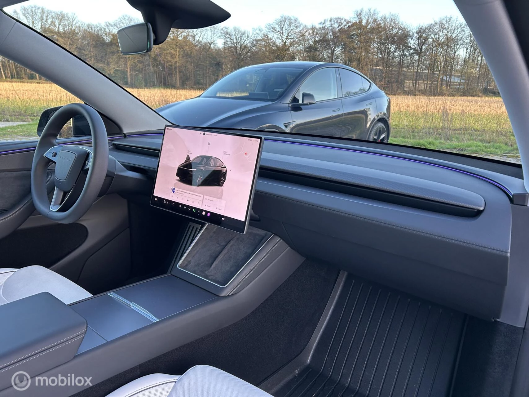 Hoofdafbeelding Tesla Model Y