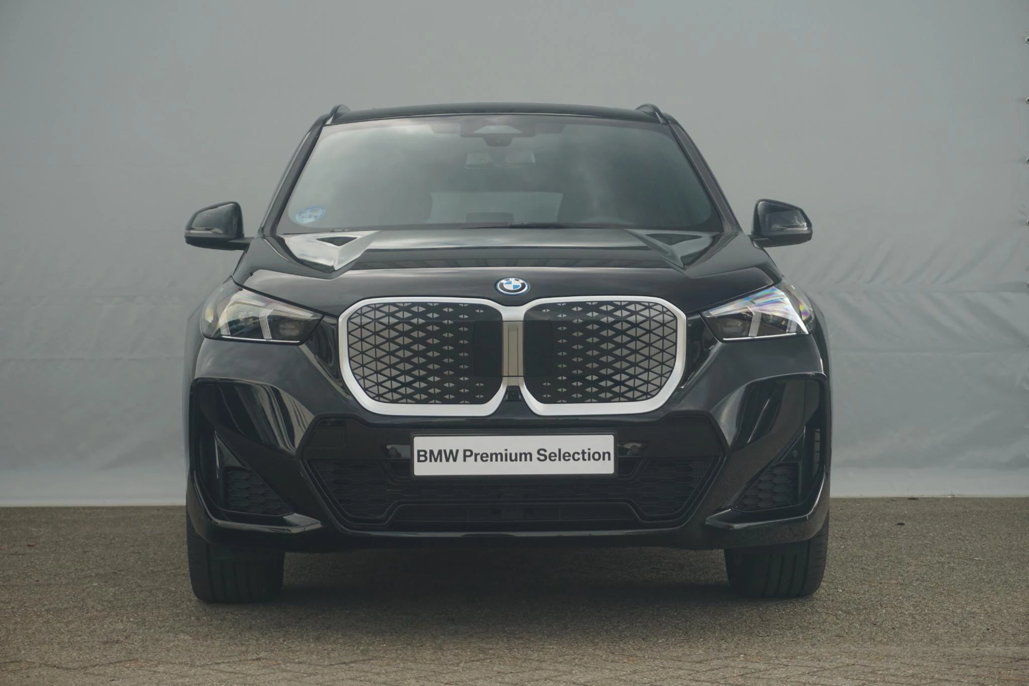 Hoofdafbeelding BMW iX1