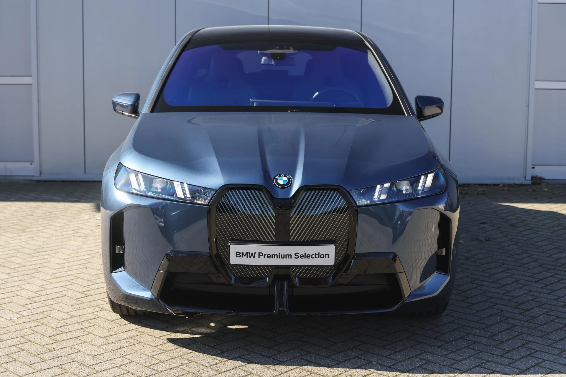Hoofdafbeelding BMW iX