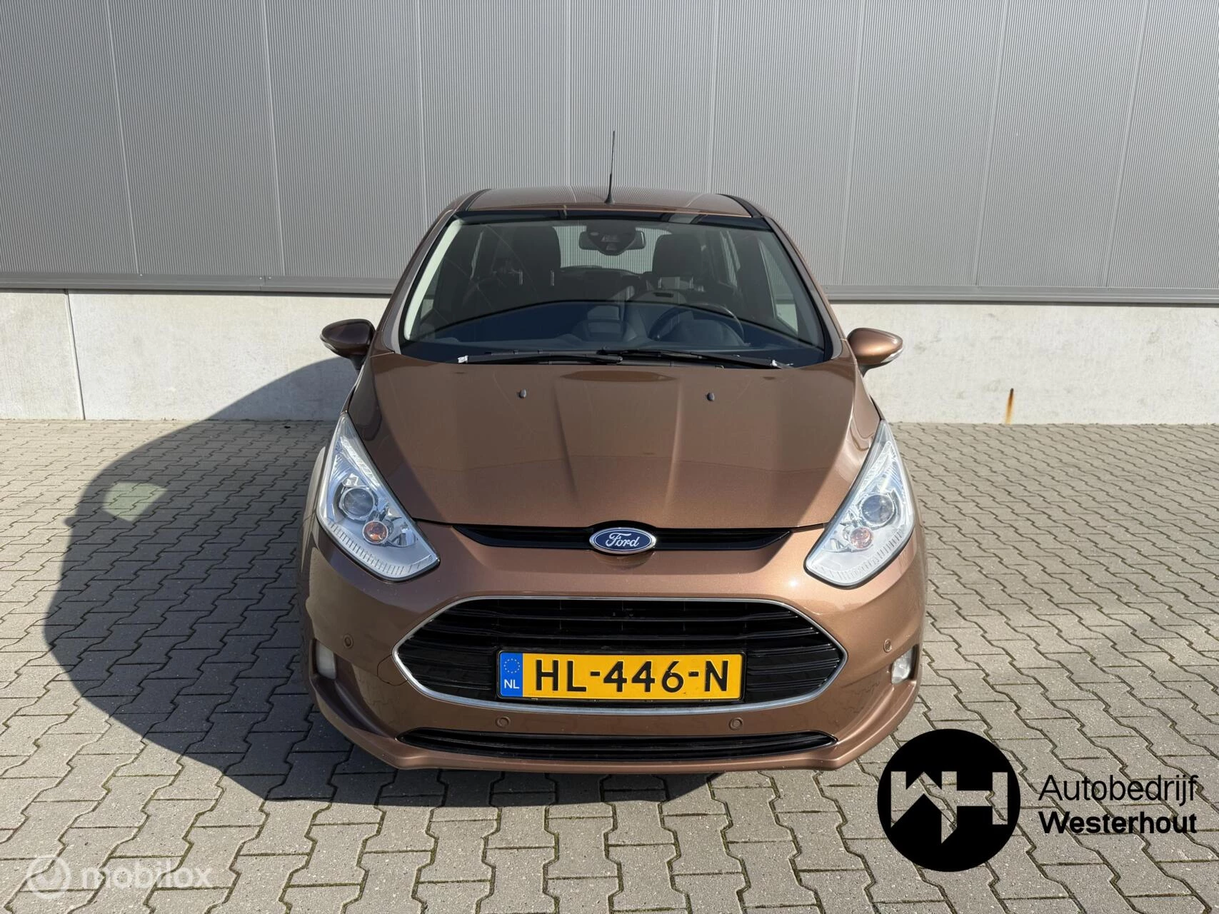 Hoofdafbeelding Ford B-MAX