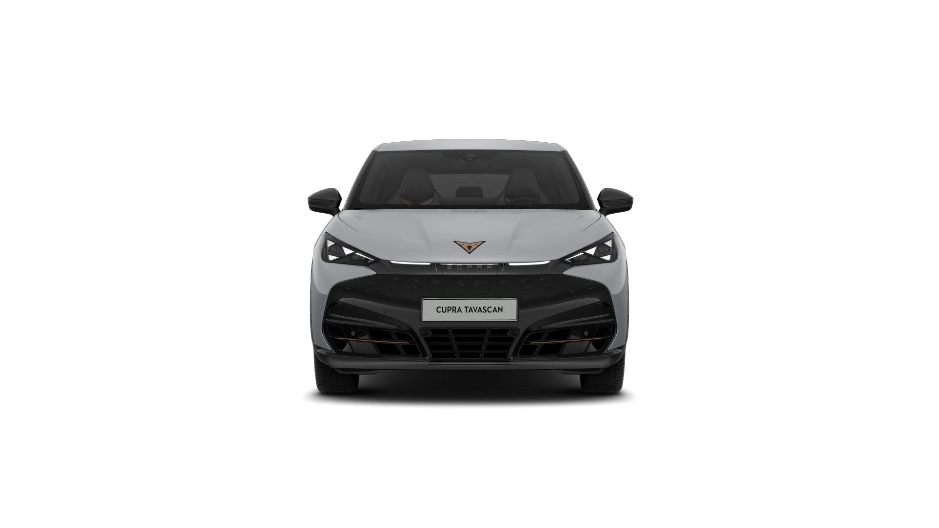 Hoofdafbeelding CUPRA Tavascan