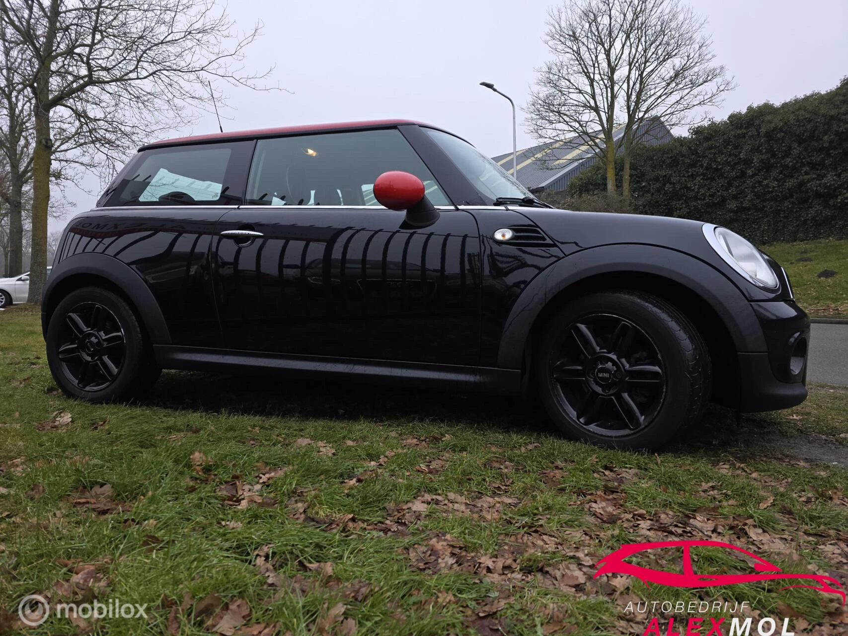 Hoofdafbeelding MINI Cooper