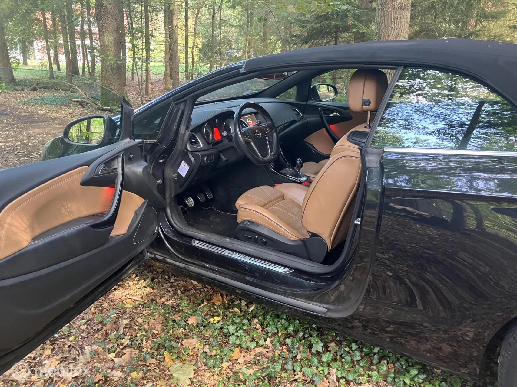 Hoofdafbeelding Opel Cascada