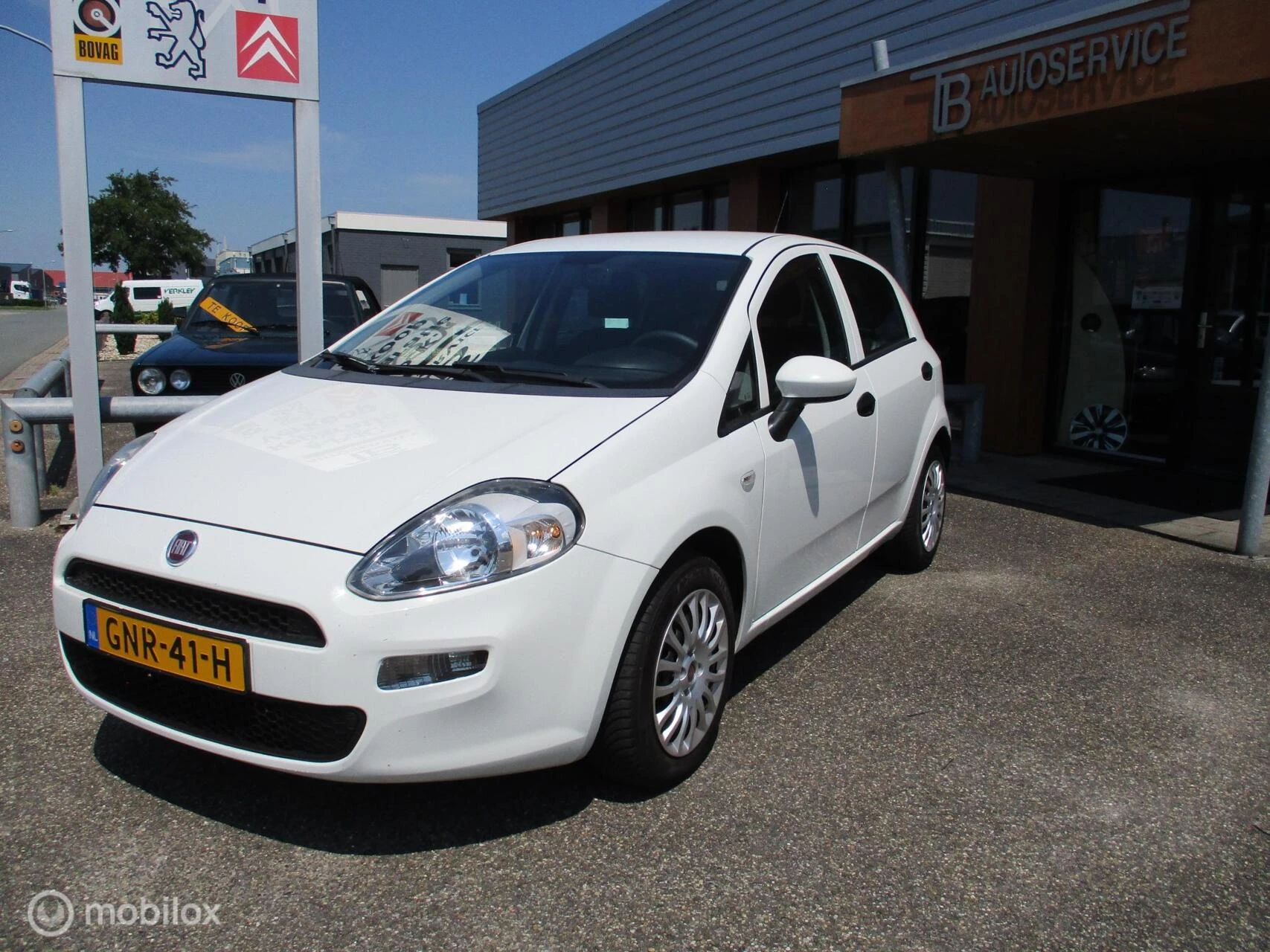 Hoofdafbeelding Fiat Punto