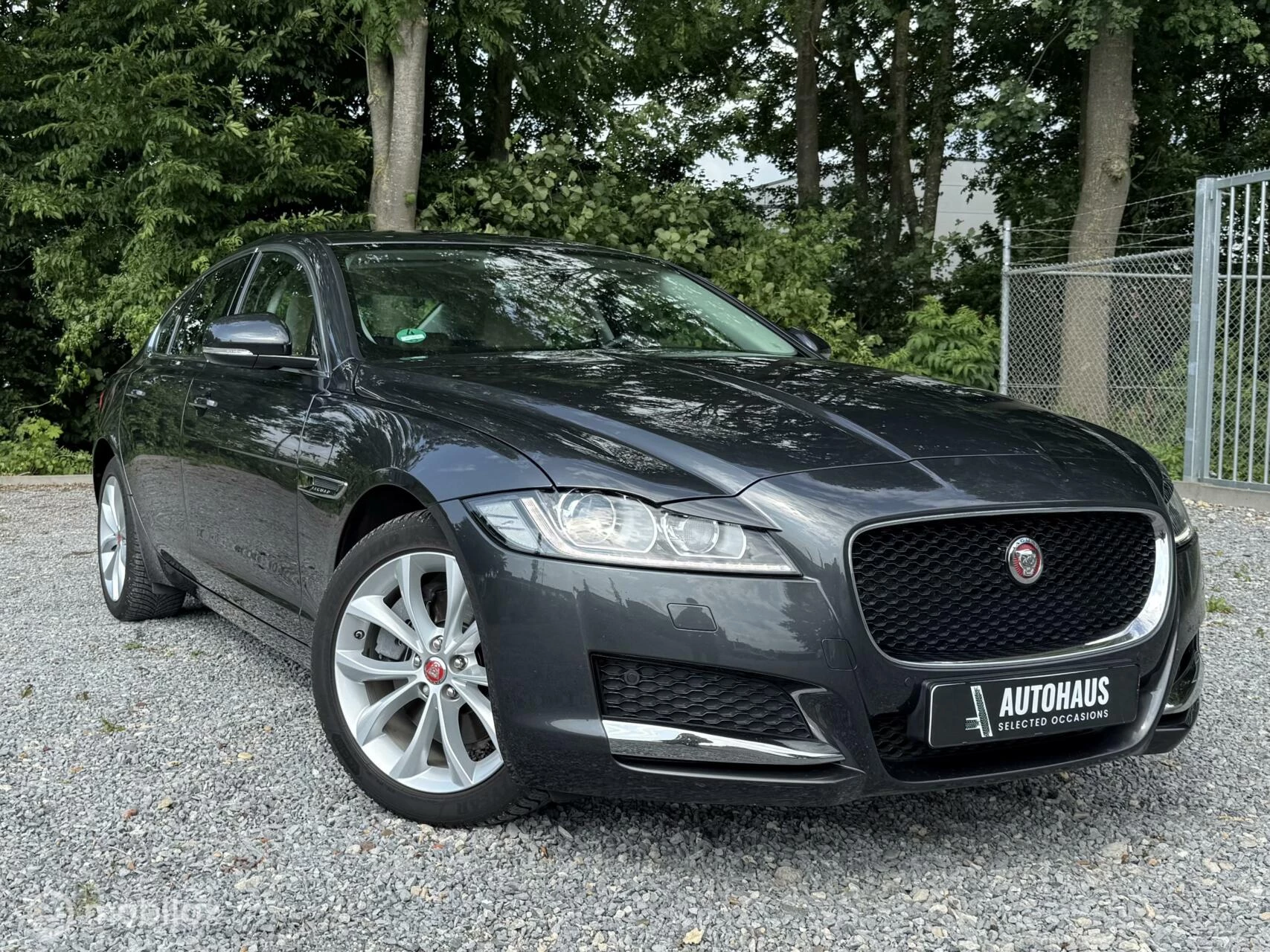 Hoofdafbeelding Jaguar XF