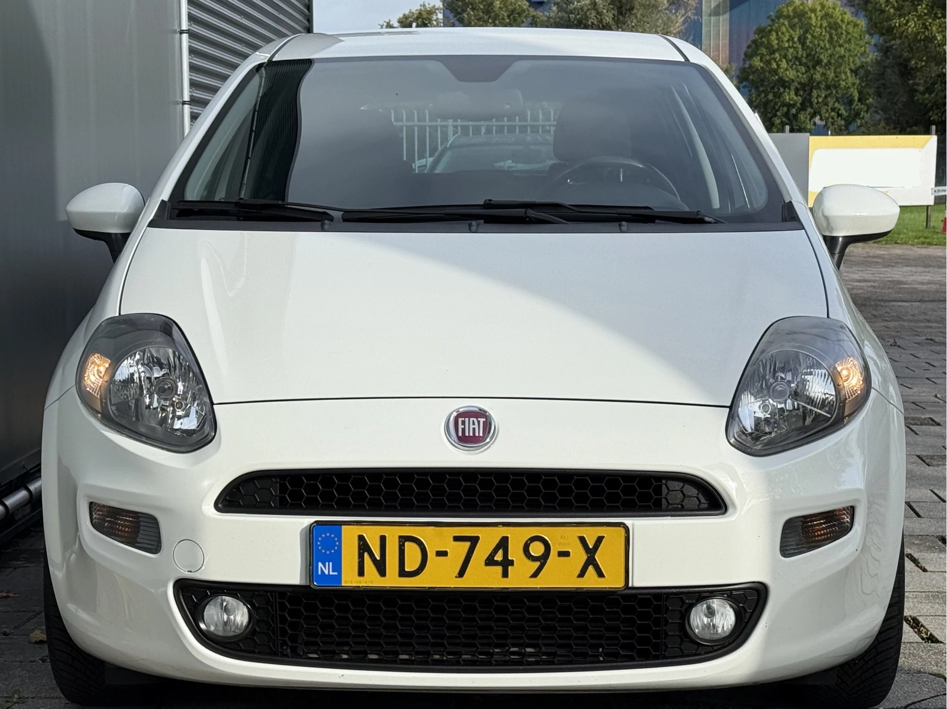 Hoofdafbeelding Fiat Punto
