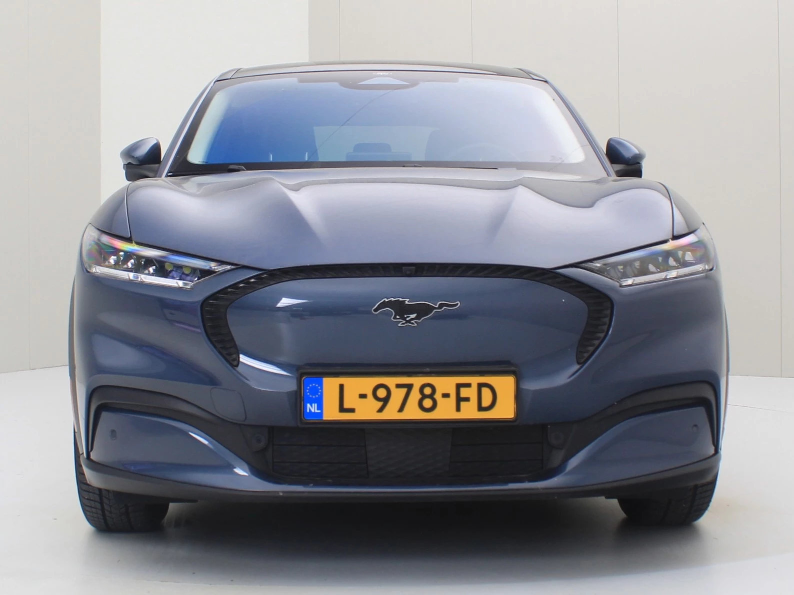 Hoofdafbeelding Ford Mustang Mach-E