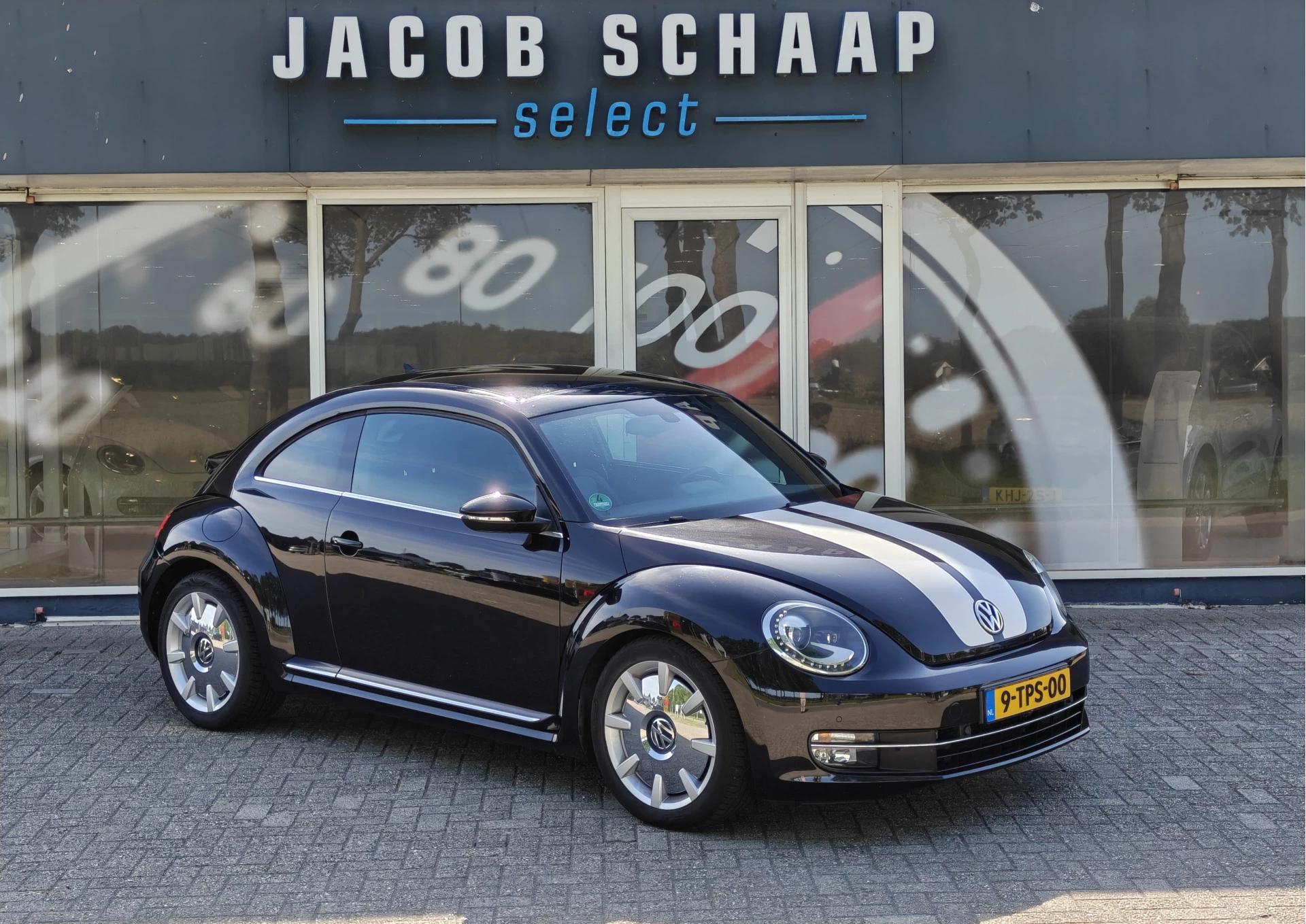 Hoofdafbeelding Volkswagen Beetle