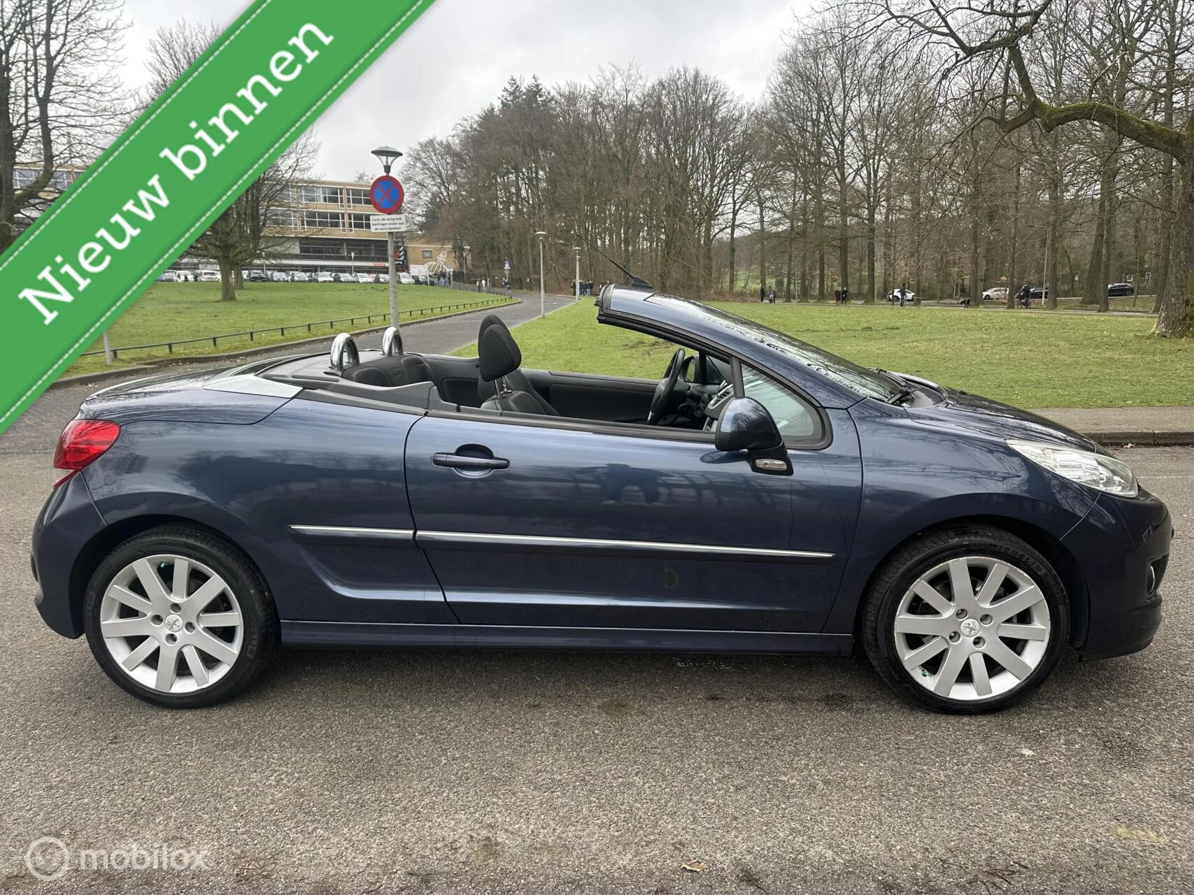 Hoofdafbeelding Peugeot 207