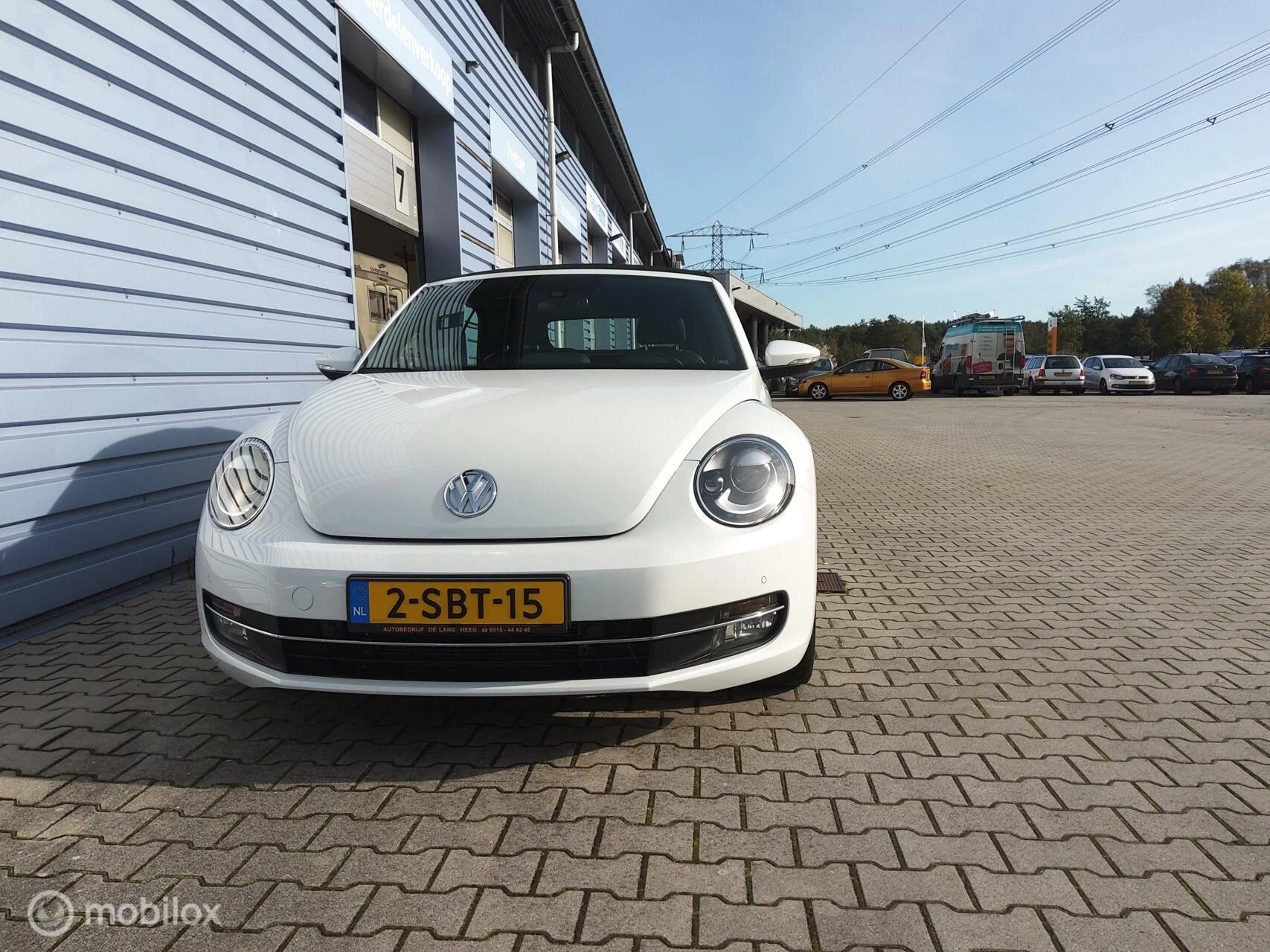 Hoofdafbeelding Volkswagen Beetle