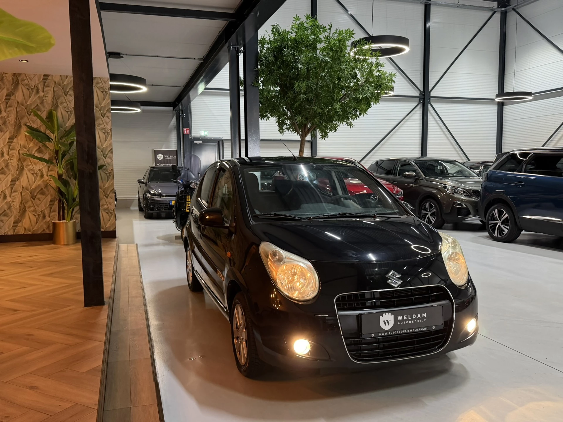 Hoofdafbeelding Suzuki Alto