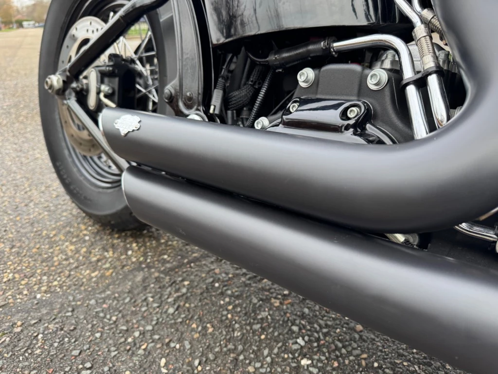 Hoofdafbeelding Harley-Davidson Softail