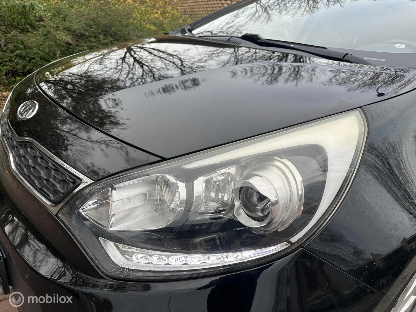 Hoofdafbeelding Kia Rio