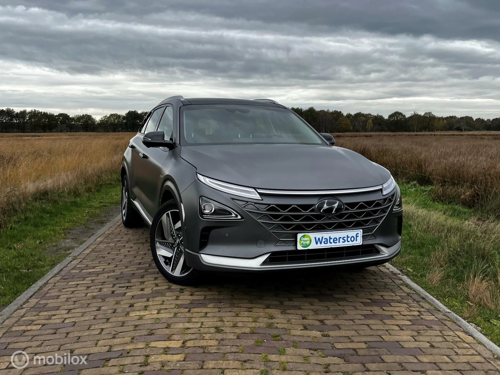 Hoofdafbeelding Hyundai Nexo