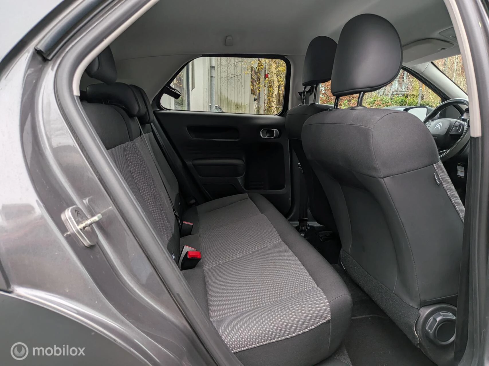 Hoofdafbeelding Citroën C4 Cactus