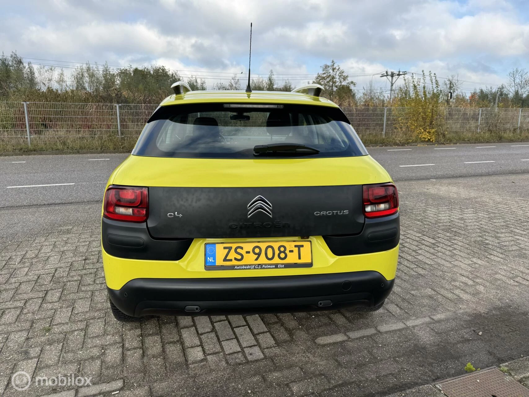 Hoofdafbeelding Citroën C4 Cactus