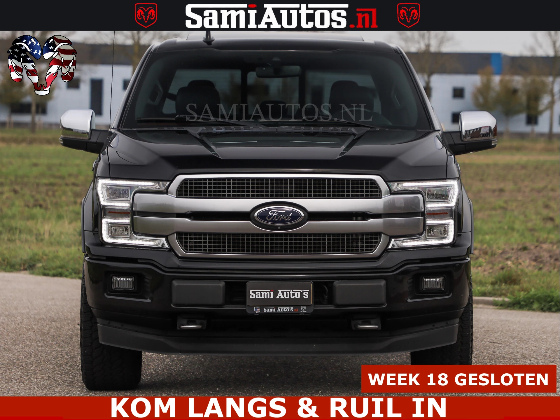 Hoofdafbeelding Ford F-150