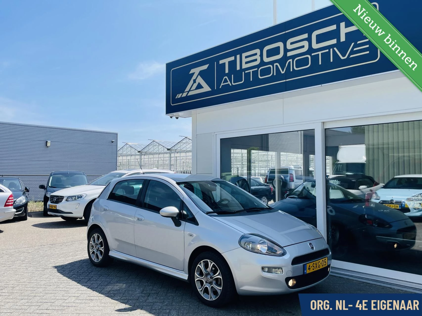 Hoofdafbeelding Fiat Punto