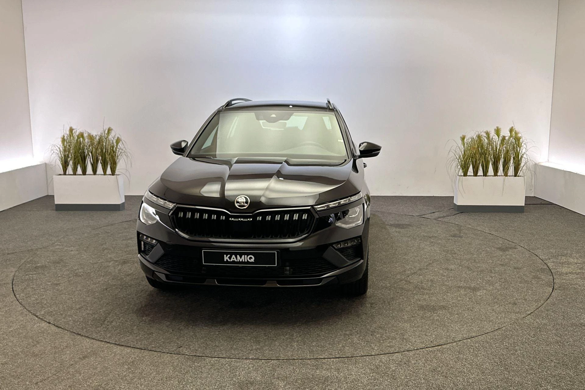 Hoofdafbeelding Škoda Kamiq