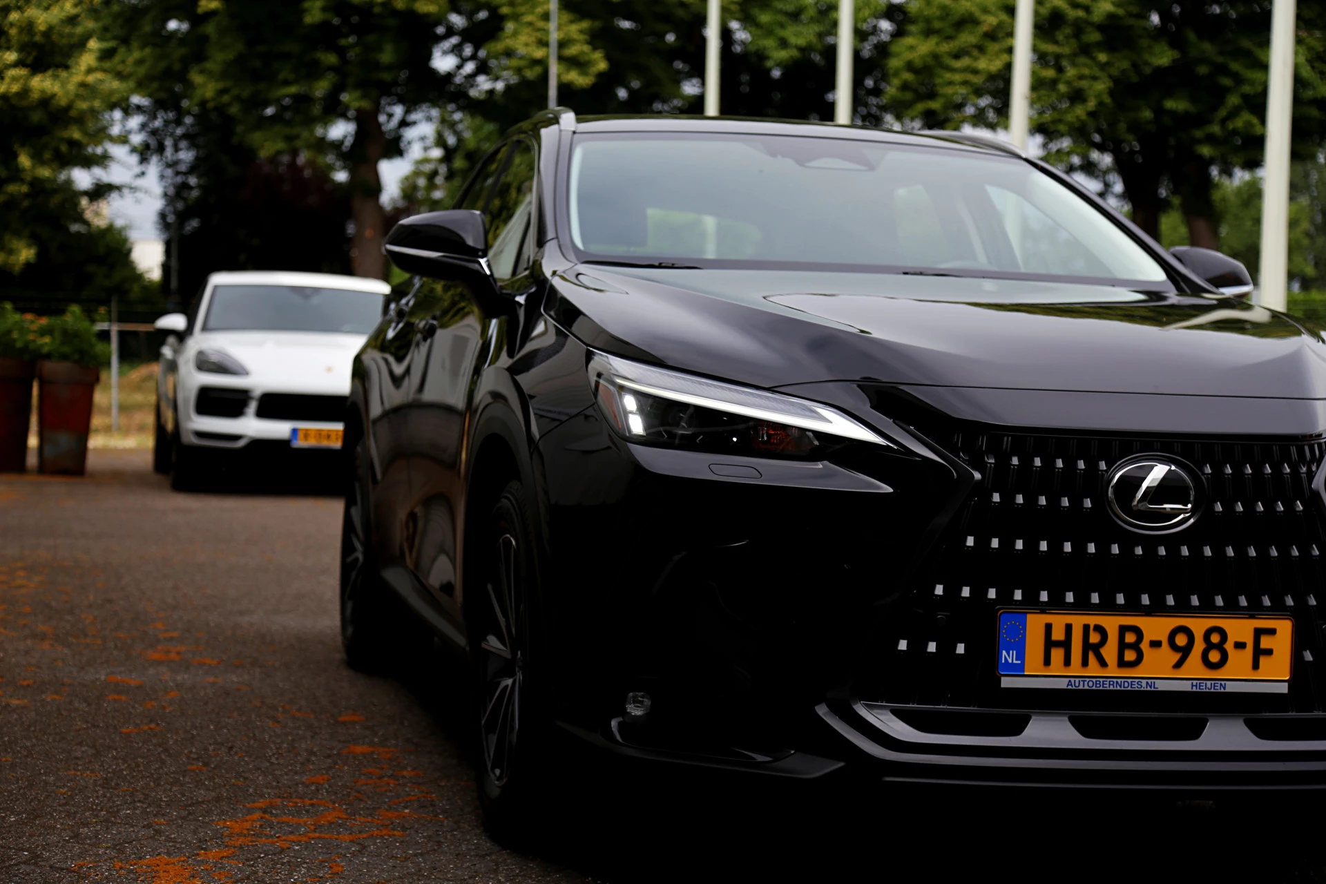 Hoofdafbeelding Lexus NX