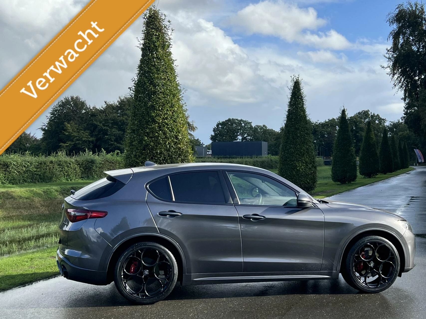 Hoofdafbeelding Alfa Romeo Stelvio