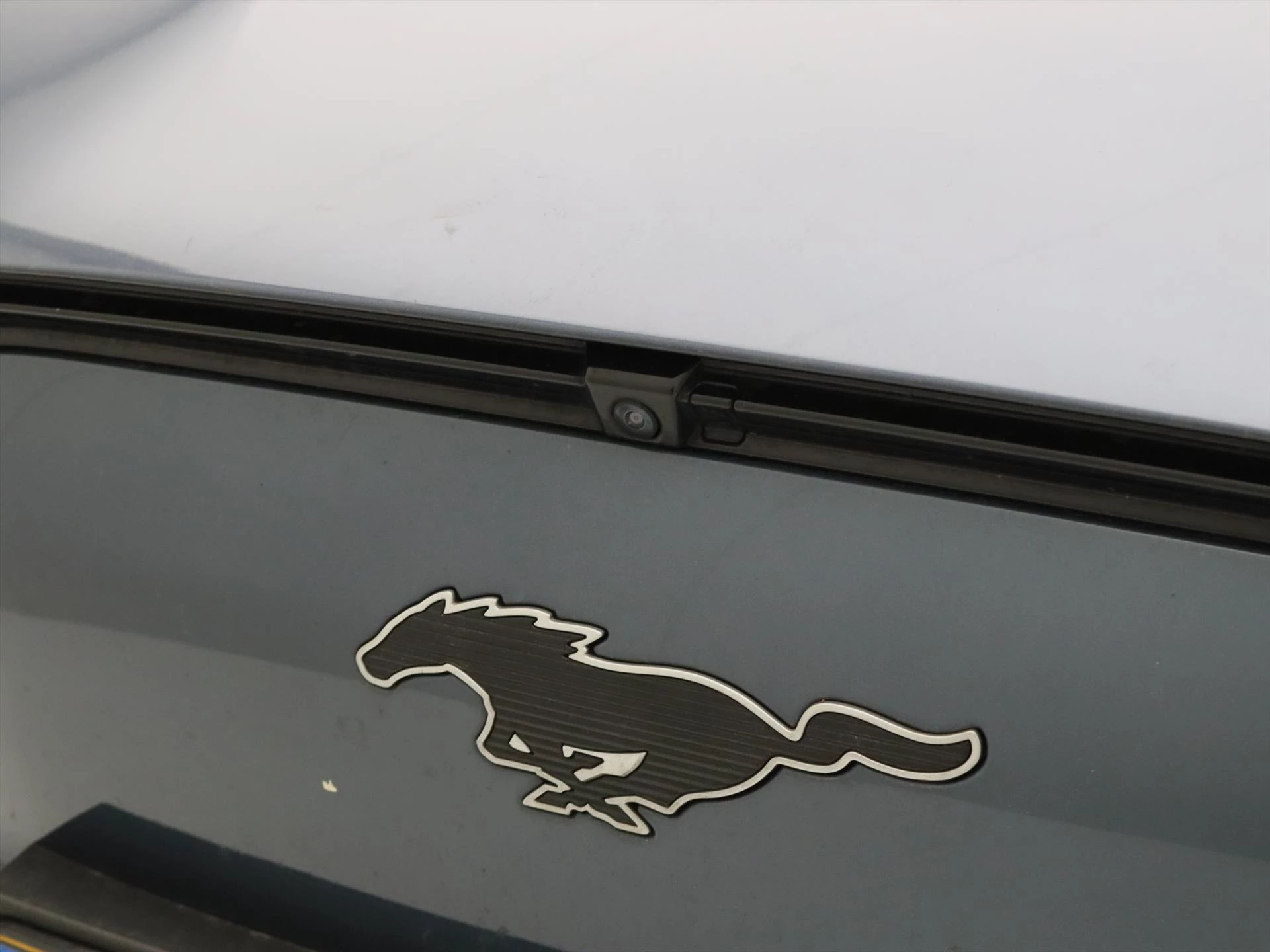 Hoofdafbeelding Ford Mustang Mach-E