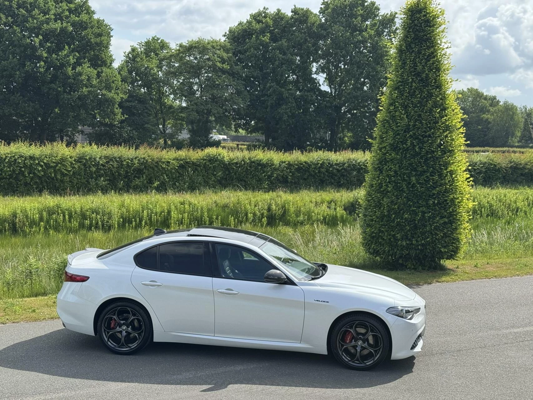 Hoofdafbeelding Alfa Romeo Giulia