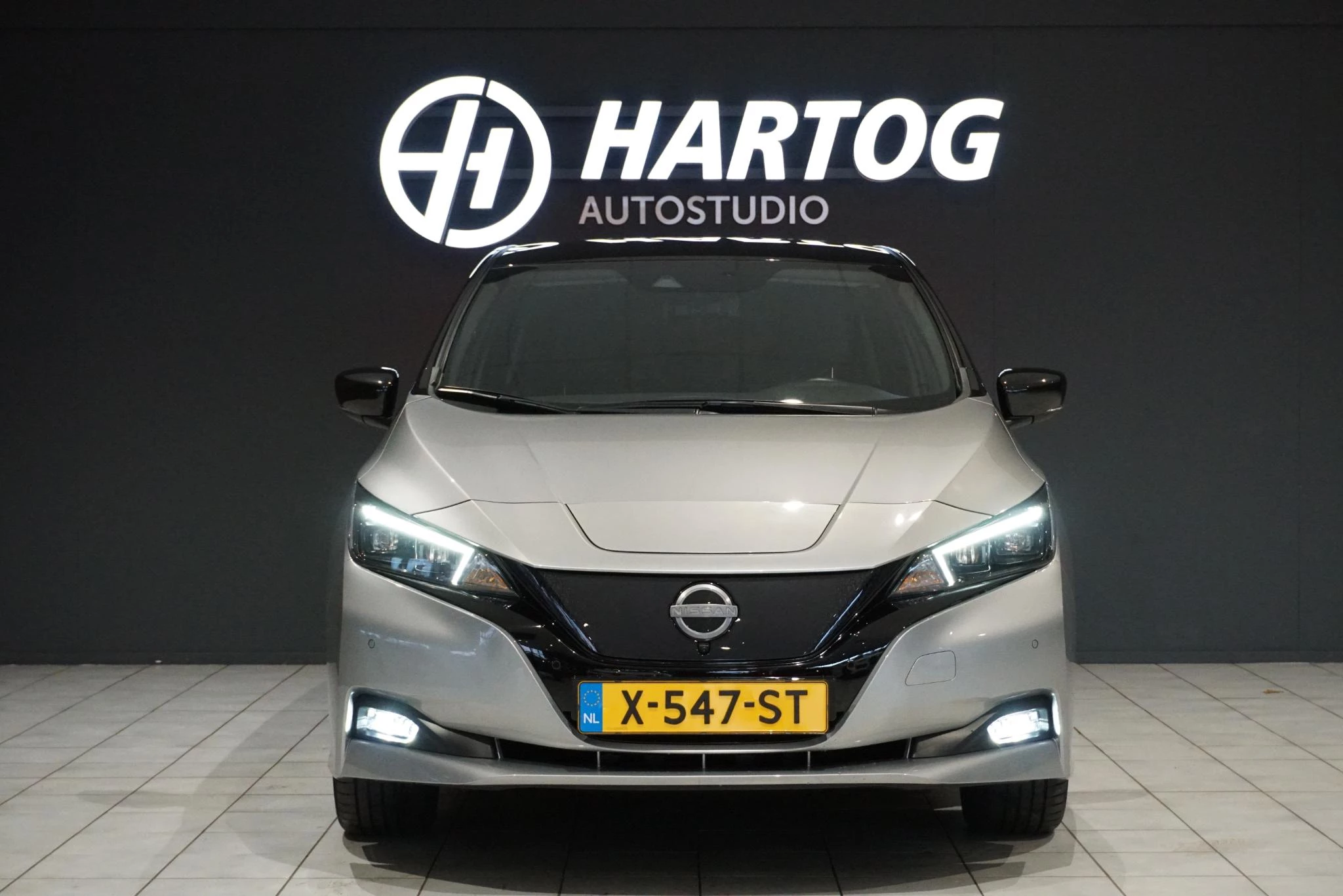Hoofdafbeelding Nissan Leaf