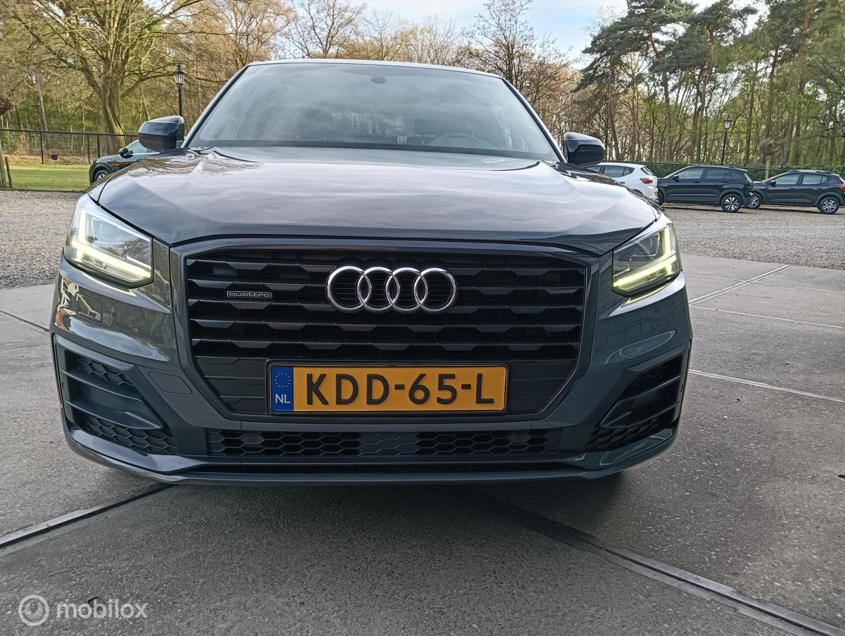 Hoofdafbeelding Audi Q2
