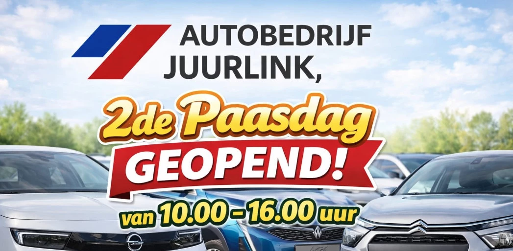 Hoofdafbeelding Citroën ë-C4