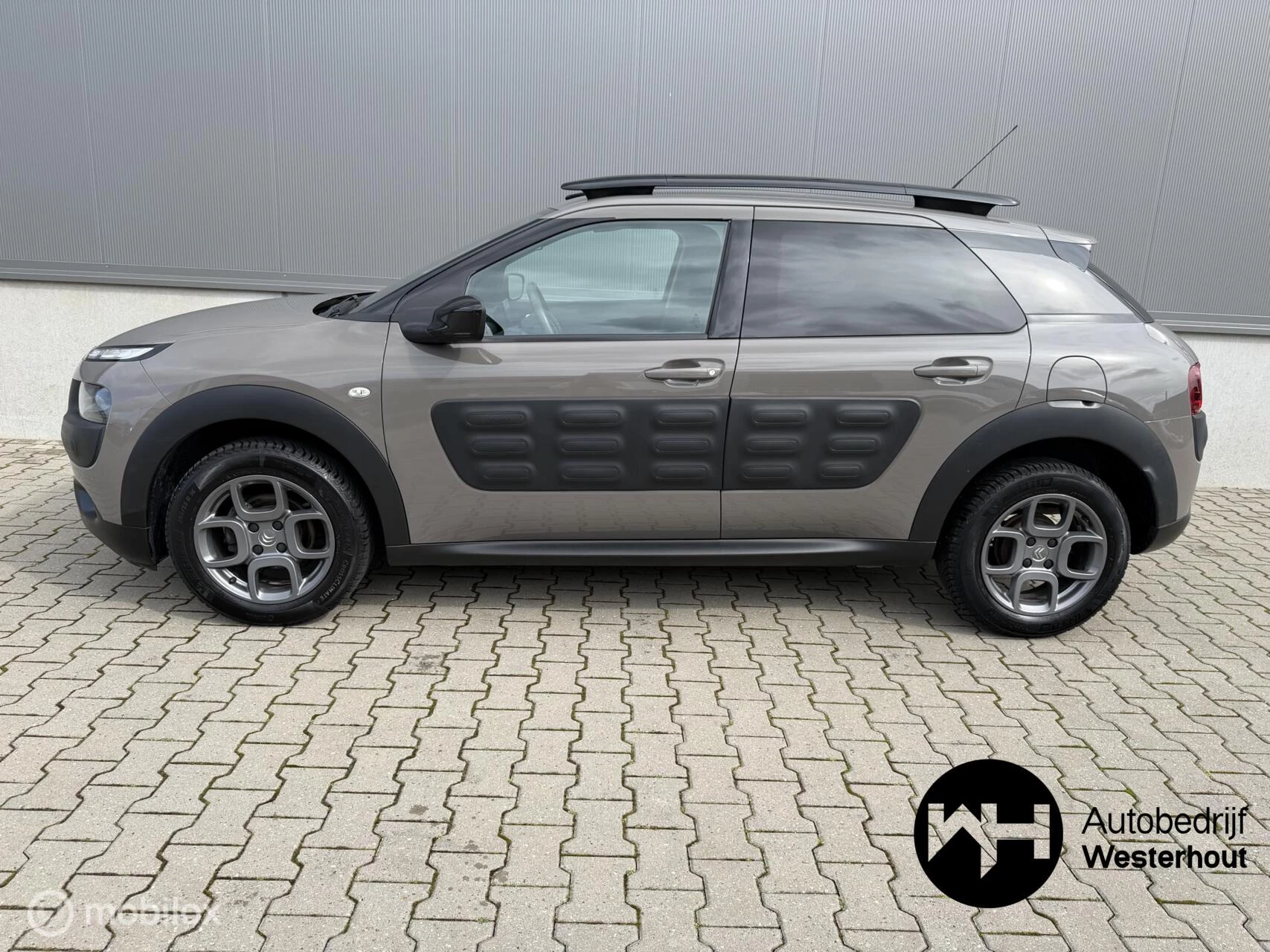 Hoofdafbeelding Citroën C4 Cactus