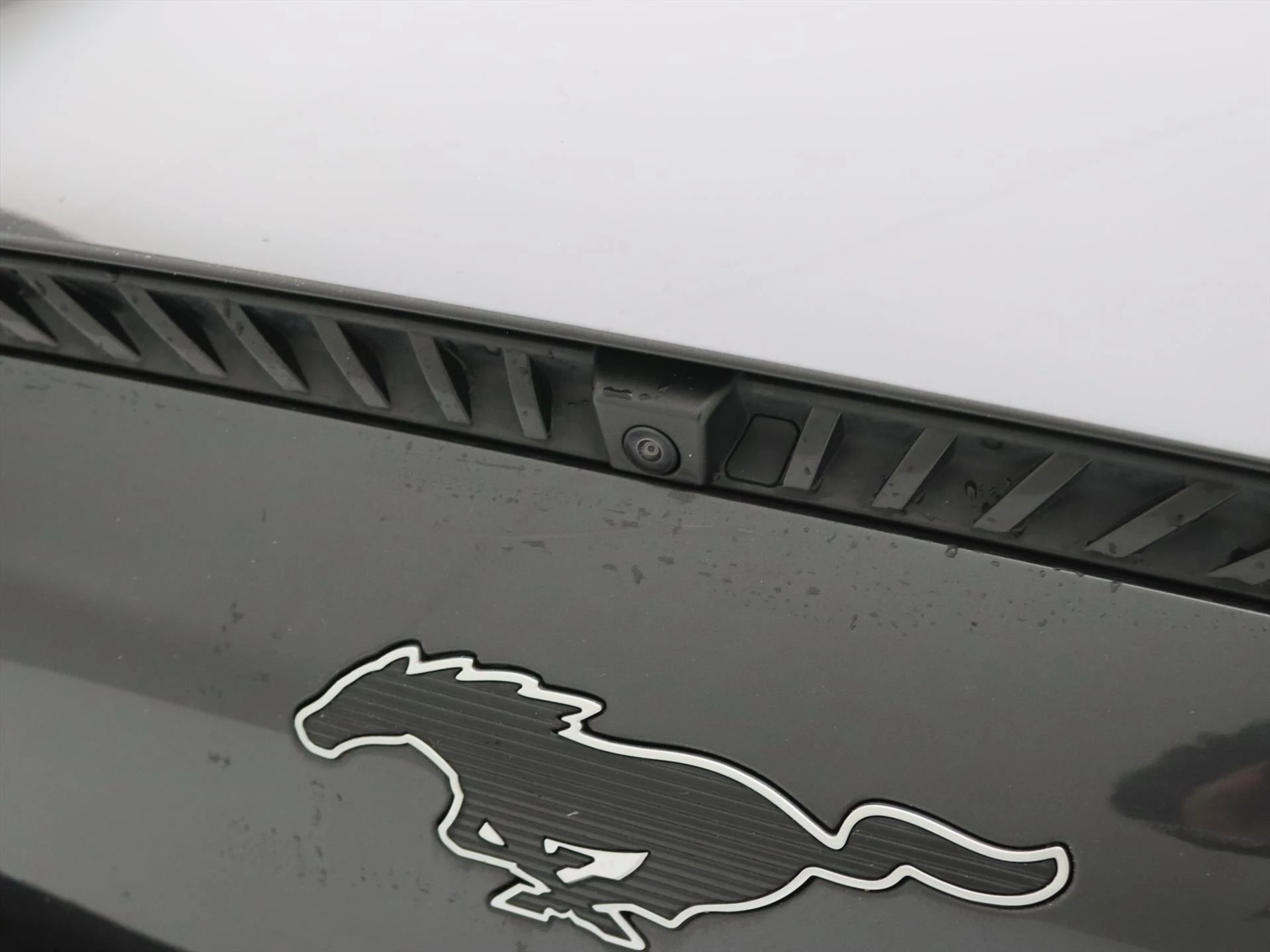Hoofdafbeelding Ford Mustang Mach-E