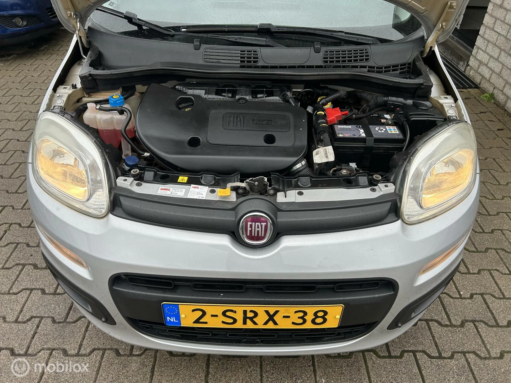 Hoofdafbeelding Fiat Panda